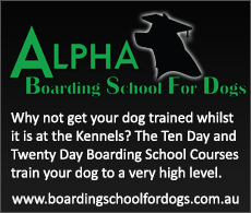 Boarding School for Dogs