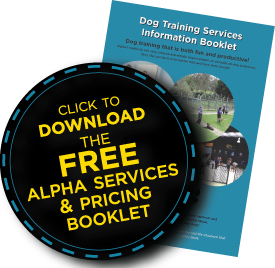 Download our FREE information booklet on all of Alpha's services