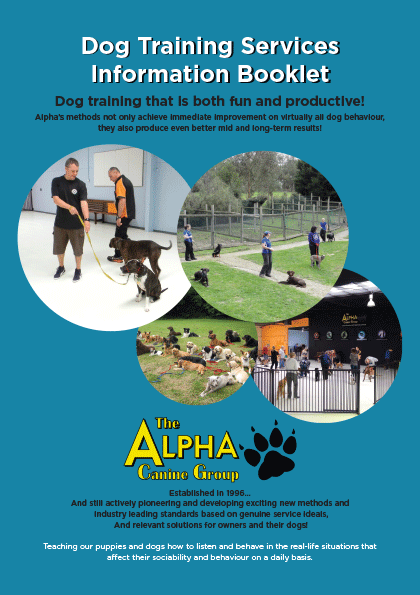 FREE, detailed information booklet on our training services (PDF)
