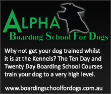 Boarding School for Dogs